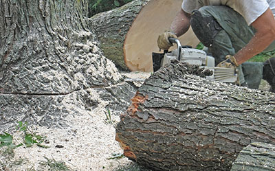 storm debris removal emergency tree service